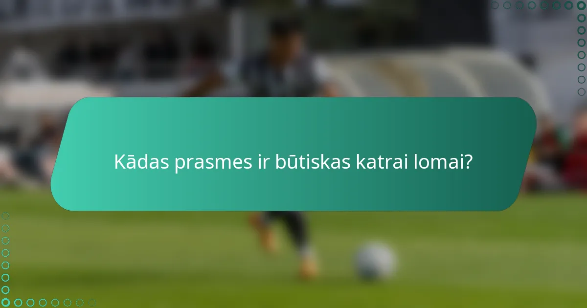 Kādas prasmes ir būtiskas katrai lomai?